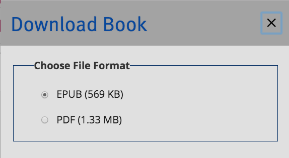 A screenshot of the file download options displayed in a modal menu