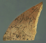 Fig 55: Ostraka 47 inscribed on convex side only, perpendicular to the throwing marks. Sherd is broken off on all sides and has black fungal spots. Hand is semicursive, regular, and confident. Text is uncertain.