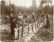 A black-and-white photograph depicting the process of building a birch-bark canoe. Stakes are in the ground forming an outline of a canoe. Bark is arranged to form canoe walls. Several figures are in the photograph working on this project.