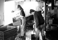 A photograph of two men cleaning up the tug after all fish have been pulled and sorted.