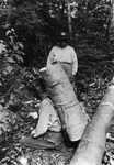 A black-and-white photograph of a figure holding a roll of birch bark on their back.