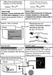 This figure shows how mirroring occurs within genetic transcription and in neurons as they transfer socially relevant information.