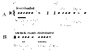 Opening rhythms of the A and B sections of “Some Enchanted Evening,” by Rodgers and Hammerstein, showing front-­loaded and evenly distributed density, respectively.