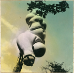 The hand-tinted black and white photograph from The Games of the Doll series (1938-1949) by Hans Bellmer depicts an arm- and legless doll, a head, two reversible pelvises and a thigh, hanging from a tree. Shot from below, the photograph looks as if the doll’s trunk had morphed into the tree trunk, the branches apparently growing out of its head