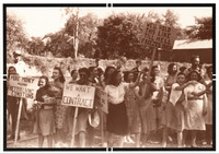 Women dressed in skirts and dresses protest. Signs read “WE'LL HOLD THIS LINE TILL HELL FREEZES OVER,” “WE WANT A CONTRACT,” and “MORE MONEY MEANS BETTER LIVING CONDITIONS”