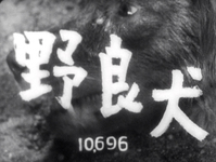 White calligraphy text and roman numerals over a background of a closeup of a dogs face.