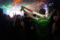 Fans in a concert crowd wear Irish tricolour clothing. One wears a green commemorative sports jersey.