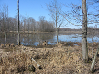 A serene spot with water and trees—­not runways, fuel tanks, or parking decks.