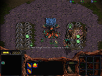 A screenshot from the “Fastest Possible Map”. Zerg drones harvest from a single mineral very close to their hatchery, while a lot of vespene geysers are chunked on each side of the building.