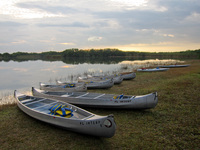 Canoes and kayaks line the shore at Everglades National Park. The park’s Nine Mile Pond Canoe Trail has long been a popular route for paddlers.
