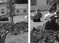 Two photographs side by side. The left photograph shows a tree, and the right photograph shows boys doing physical exercises with a workman in the foreground.