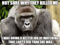 Harambe is the central figure. Top text reads, “Not sure why they killed me.” Bottom text reads, “I was doing a better job of watching that lady’s kid than she was.”