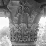 Photograph of a detail of the capital of Column 7 of the Round Temple by the Tiber.