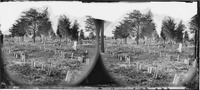 Stereoview card with black-and-white photograph showing graves with wooden headboards for Confederate soldiers at Oakwood Cemetery in Richmond, 1865. The rows of graves are straight, but many of the headboards are leaning forward or backward.