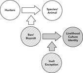 This figure expands the diagram shown in figure 3.3 by showing a horizontal arrow pointing from a left circle labeled ‘hunters’ to a right circle labeled ‘species/animal’. Vertically, a second arrow points up from a third circle below labeled ‘ban/boycott’ to intersect the vertical arrow. A third, grey arrow points to the right from the lower circle labeled ‘ban/boycott’ towards a fourth circle, which is grey, labeled ‘livelihood, culture, identity’. Vertically, a fourth arrow points up from a fifth circle below labeled ‘Inuit exception’ to intersect the lower horizontal arrow.