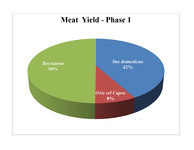 Proportions of meat yield in Phase B-1, suggesting that beef played the largest role in the local diet, followed by pork.