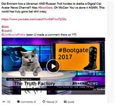 Screenshot from Gab comment that illustrates a comment with screenshot of a video of a cat as a newscaster with a headline “the truth factory” covering #Bootgate 2017.