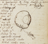 Newton’s depiction of the bodkin compressing his eye, consisting of a cross-section of the eye’s interior structure along with the bodkin held by a small hand. The bodkin compresses the eye at the bottom, and above the eye are three concentric circles indicating the spot of color the compression caused Newton to see.