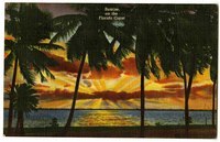 A luminous sunrise is colorfully depicted, with the sun's rays beaming against a foreground of ocean and swaying palm trees.