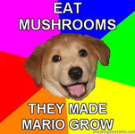Meme depicts a happy looking golden retriever’s head with a colorful pinwheel background. In Impact font, top text reads, “EAT MUSHROOMS,” and bottom text reads, “THEY MADE MARIO GROW.”