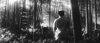 Natural Imagery and Martial Training: A masterful but cliched composition, with Kiroku (kneeling foreground, back to camera) receiving instruction from Turtle (left-­of-­center background), appearing like a mythical figure as he sits in a mountain glade, sun streaming just behind him through the countless trees, rendering Turtle himself and the small tree behind him an almost golden, shining lustre.