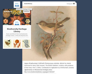 This image shows the “preview” menu of a blog on the Tumblr Dashboard.