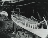 Planking is applied to a pair of Indian Girl canoes in the Rushton Boat Shop, early 20th century.