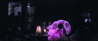 The semi-­nude dancer, dancing with huge purple feathers in order to resemble a flower, emerges from below the frame (the night-­club floor) like a blooming flower, Right of center. The rest of the frame is darkened with strategic points of light such as a decorative lamp on a low table to the dancer’s Left that barely illuminates the seated, well-­to-­do spectators. Some very strange white curtain arrangements to the upper Right and Left of frame.