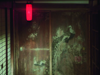 Long shot of a tall, very traditional wood-­paneled screen featuring a painted peacock, at right angle to the shōji taking up the far Left of the frame. Top of frame, left of center, a red lamp glows, but the space is filled with “white” or neutral light, not red light.