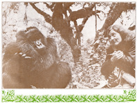 Fossey and Digit sit side-by-side on the jungle floor, looking at each other. Fossey holds a pencil and presses her other hand to her face; Digit mimics. Fossey has a camera and a water bottle.
