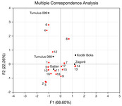 Multiple correspondence analysis plot.