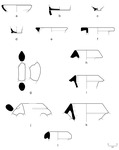 Sketches (a-l) of 12 pieces of pottery from Kullaj.