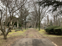 Color photograph showing Grove Street Cemetery landscape (originally called the New Burying Ground in New Haven, Connecticut) bisected by lane with trees, bushes, and monuments of varying sizes and shapes on either side.