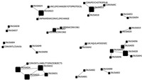 A treaty network showing the relationship between India and the US. While there are several large treaty nodes, showing the centrality of certain treaties, the subnetworks are organized according to issue area, demonstrating an ad hoc approach to cooperation. The subnetworks are not tied to each other.