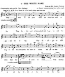 Fig. 4.2. Musical transcription of “The White Hare