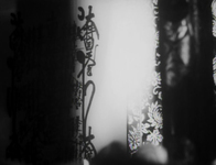 Black and white image with abstract shadows on it. There are prints of flowers and calligraphy visible.