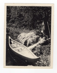 A black and white photograph of a man, Francis Lee Jaques, sitting on the shore an holding an oar by a pine tree as his wooden canoe floats in the lake just in front of him.