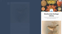 This image shows a copy of a Tumblr blog, with the Tumblr Dashboard faded in the background.