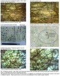 This upper photo shows an original material, and the other photos show gelatinized starch grains and crushed cell walls, and starch grains in kozo mulberry paper materials.