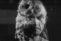 Film still taken mid-dissolve of the Owl—a spy in Strike—and the owl with which he is juxtaposed. Other spy/animal juxtapositions in the film are the Monkey, the Bulldog, and the Fox.
