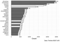 A horizontal bar graph showing the most frequently occurring Twitter words collected for use in the chapter’s analysis.