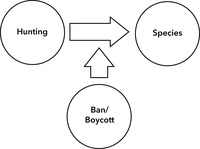This figure shows a horizontal arrow pointing from a left circle labeled ‘hunting’ to a right circle labeled ‘species’. Vertically, a second arrow points up from a third circle below labeled ‘ban/boycott’ to intersect the vertical arrow.
