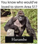 Harambe. Text above reads, “You know who would’ve loved to storm Area 51?” Text on image reads, “Harambe.”
