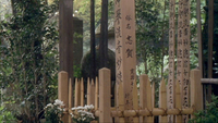 Posts in a wooded area have black calligraphy printed on them.