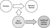 This figure expands the diagram shown in figure 3.2 by showing a horizontal arrow pointing from a left circle labeled ‘hunters’ to a right circle labeled ‘species/animal’. Vertically, a second arrow points up from a third circle below labeled ‘ban/boycott’ to intersect the vertical arrow. A third, grey arrow points to the right from the lower circle labeled ‘ban/boycott’ towards a fourth circle, which is grey, labeled ‘livelihood, culture, identity’.