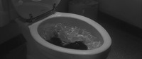 A grotty medium close-­up on a restaurant toilet, viewed by the camera at a 45° angle to the Left. In the water, a waving black mass slowly swirls down the toilet: but it is clearly a mop of long hair, not feces.
