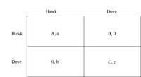 Two-­by-­two matrix representing the strategies and payoffs associated with a two-­player hawk-­dove subgame.