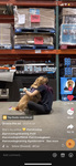 Rosie and Claire embrace, sitting on the ground in the aisle of a warehouse store. The image has text that reads, “It’ll be okay.”