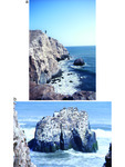 Two photos of the archaeological site of Cerro Azul overlooking the Pacific Ocean. Sea cliffs and rocky outcrops are visible in both photos. The second photo shows a close-up of a rocky outcrop covered with white guano from the seabirds.