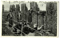 The image shows three female tourists looking on as three male tourists help a fourth to kiss the Blarney stone.
